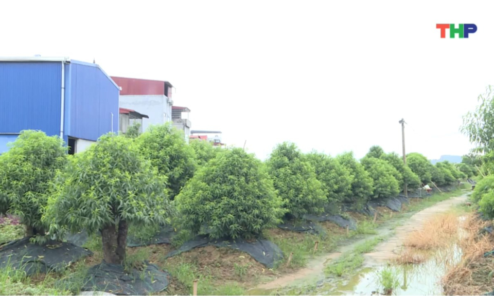 Bản tin thời sự tối (14/09/2025)