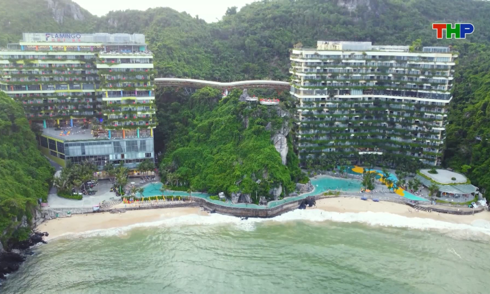 Sức h&uacute;t của du lịch C&aacute;t B&agrave;