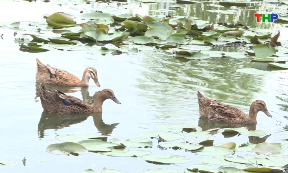 10 ph&uacute;t v&agrave;ng (17/09/2025)