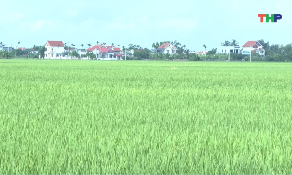 Bản tin thời sự trưa (18/09/2025)