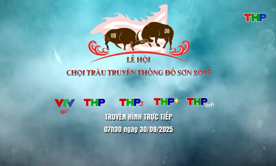 Lễ hội chọi trâu truyền thống Đồ Sơn 2025