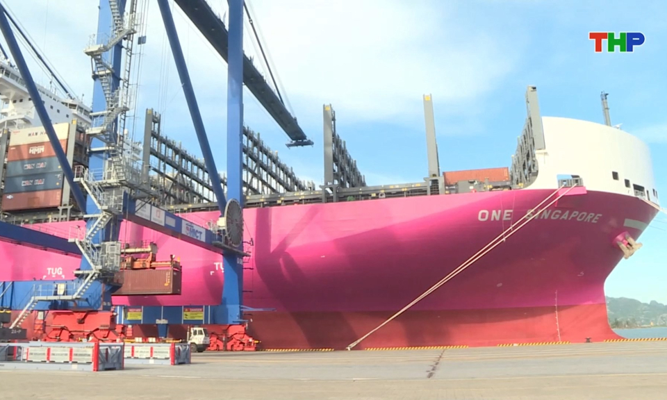 Cảng container quốc tế T&acirc;n Cảng Hải Ph&ograve;ng đ&oacute;n t&agrave;u lớn nhất từ trước đến nay