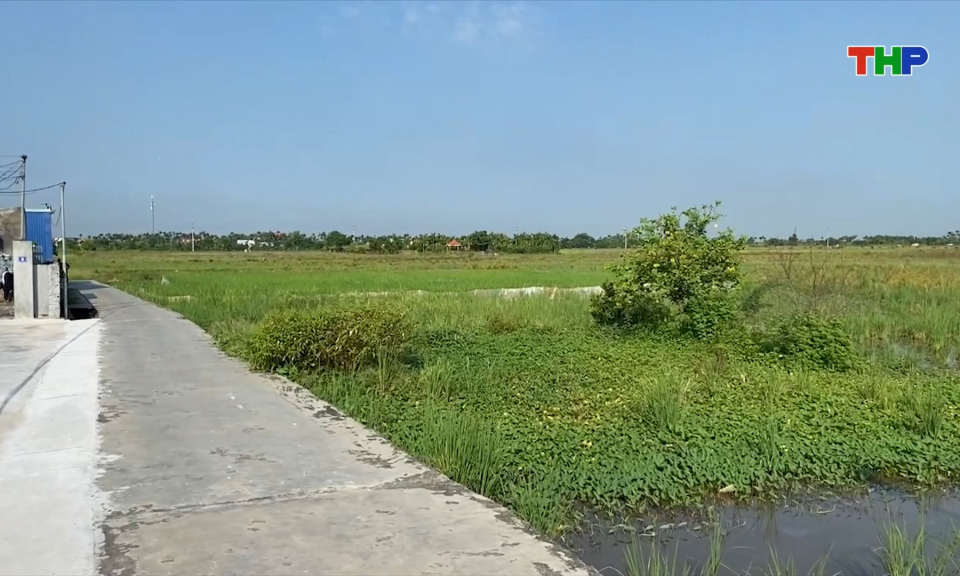 Tập trung giải ph&oacute;ng mặt bằng phục vụ Dự &aacute;n khu c&ocirc;ng nghiệp Nomura - Hải Ph&ograve;ng (giai đoạn 2)