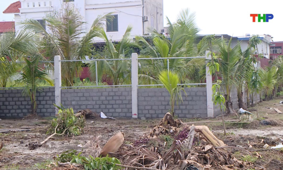 Ph&aacute;p luật v&agrave; cuộc sống: L&agrave;m sạch, l&agrave;m gi&agrave;u cơ sở dữ liệu g&oacute;p phần quản l&yacute; đất đai hiệu quả