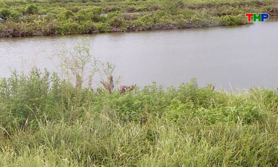 Bảo đảm tiến độ giải ph&oacute;ng mặt bằng dự &aacute;n đường sắt L&agrave;o Cai - H&agrave; Nội - Hải Ph&ograve;ng