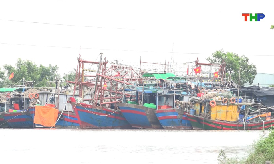 An ninh biển đảo: Bộ đội Bi&ecirc;n ph&ograve;ng th&agrave;nh phố nỗ lực ph&ograve;ng, chống khai th&aacute;c hải sản IUU