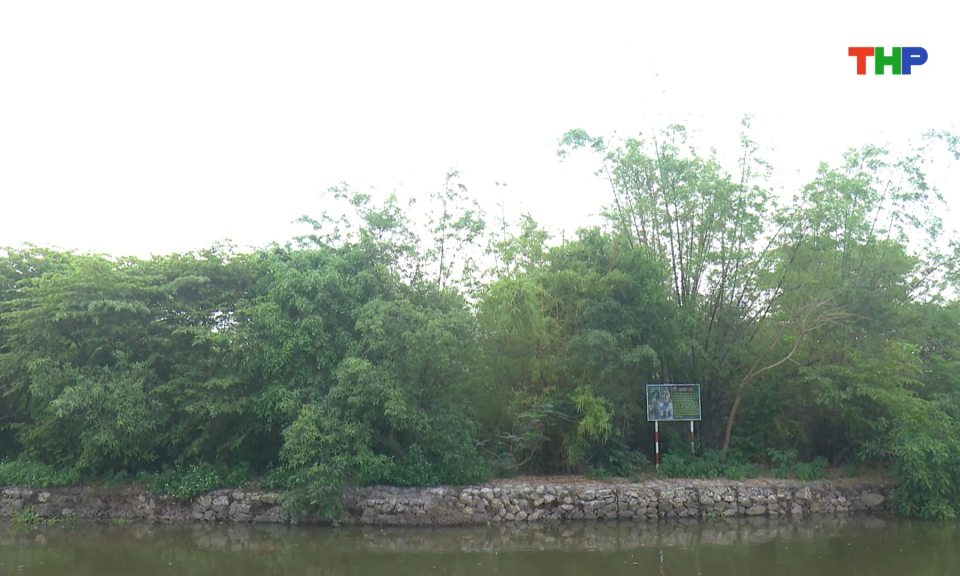 Ph&aacute;t triển bền vững du lịch sinh th&aacute;i Đảo C&ograve; 