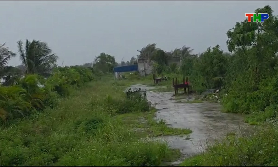 Hộp thư truyền hình: Chung quanh kiến nghị của ông Trần Văn Vững ở phường An Biên về việc bị chiếm dụng đất