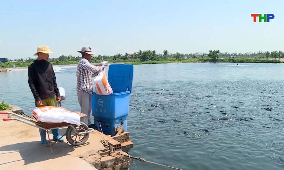 Tạp chí kinh tế: Gập ghềnh kinh tế thủy sản
