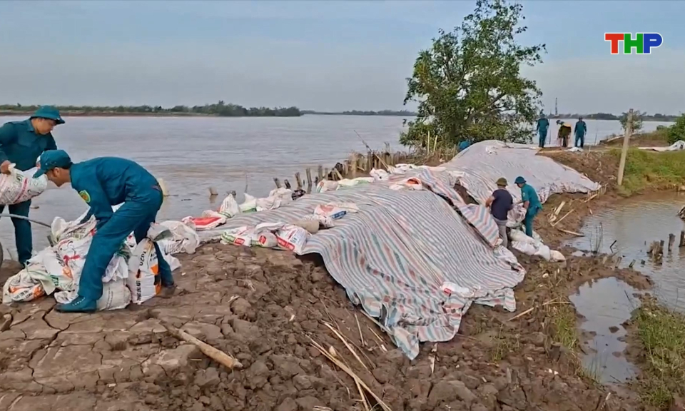 Chủ động ph&ograve;ng chống b&atilde;o số 11 v&agrave; nước triều d&acirc;ng