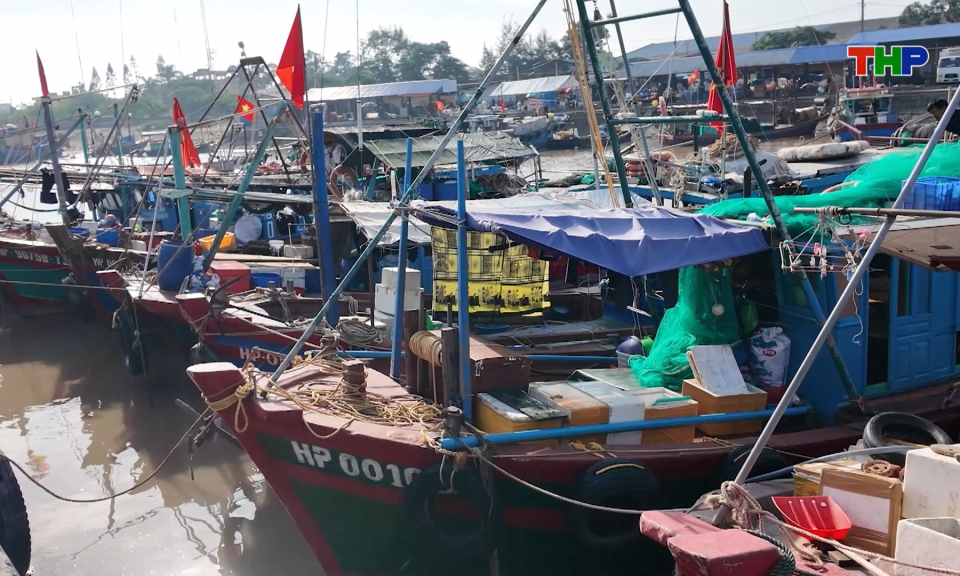 Kiểm tra c&ocirc;ng t&aacute;c ph&ograve;ng chống b&atilde;o số 11