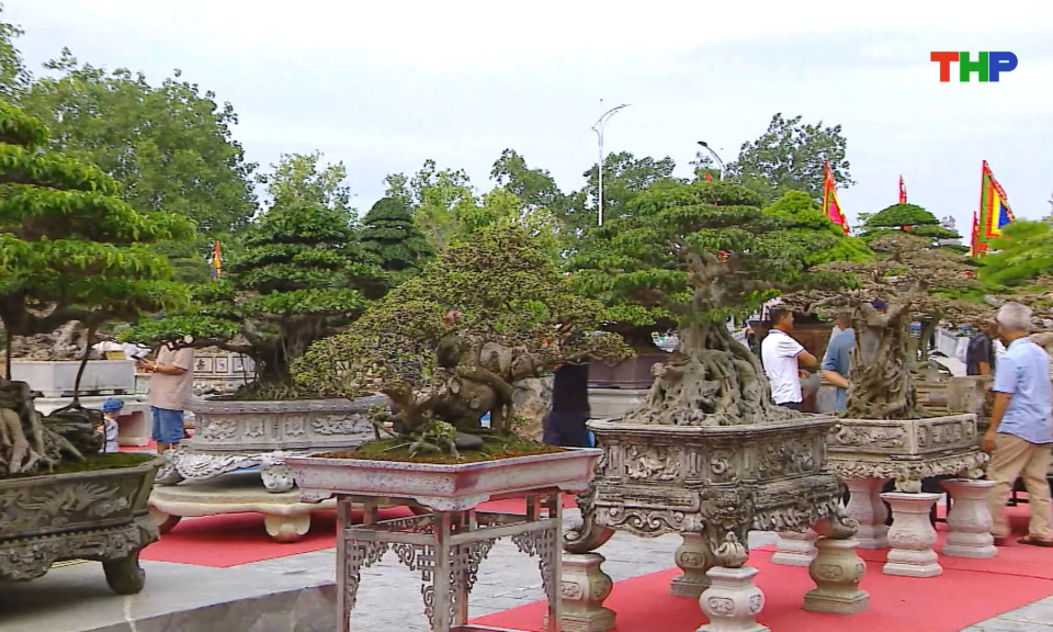 Nhiều hoạt động đặc sắc dịp tưởng niệm 484 năm ng&agrave;y mất Th&aacute;i tổ Mạc Đăng Dung