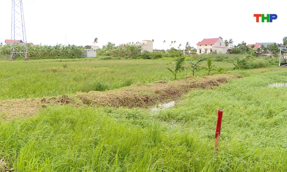 Bảo đảm quy định về bồi thường, hỗ trợ, t&aacute;i định cư