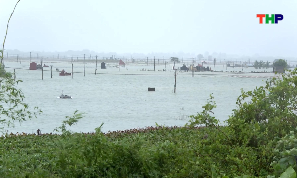 Chủ động ứng ph&oacute; mưa lũ, nước s&ocirc;ng d&acirc;ng cao