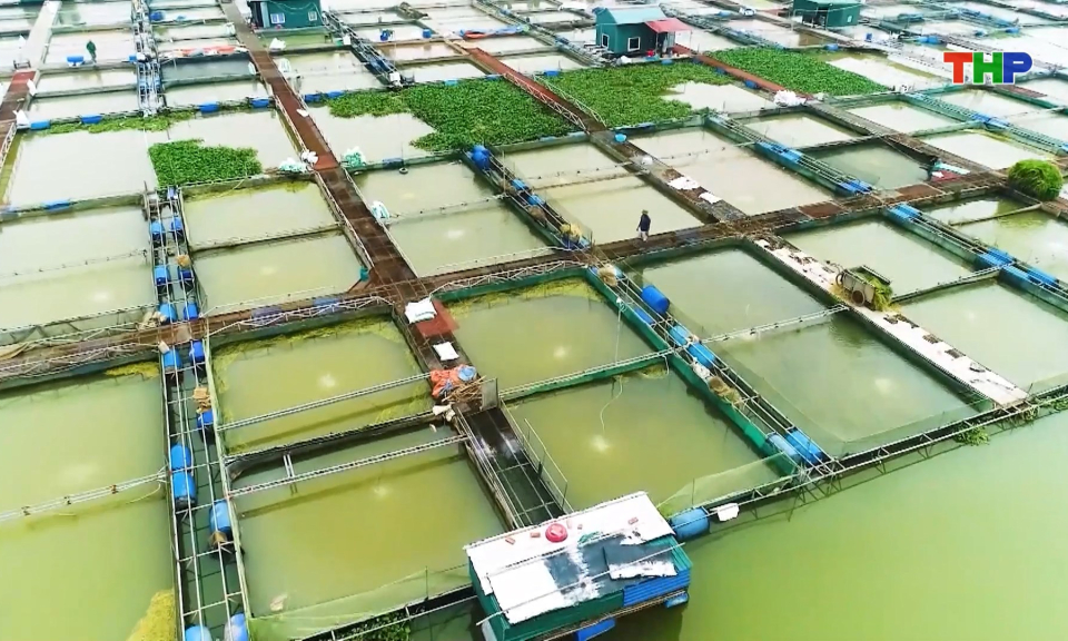 Xuất khẩu thủy sản tăng cao sau 9 th&aacute;ng