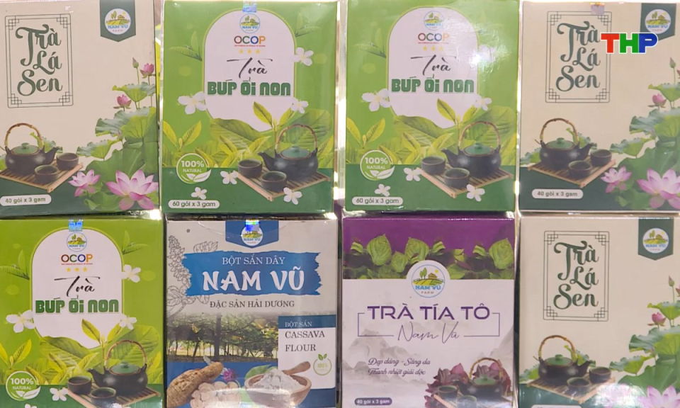 Nông thôn mới Hải Phòng: Đổi mới, nâng cao hiệu quả sản xuất nông nghiệp