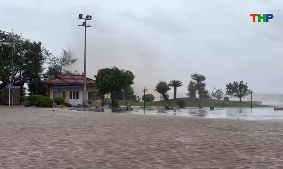 Bản tin tiếng Anh - Hai Phong News (10/10/2025)