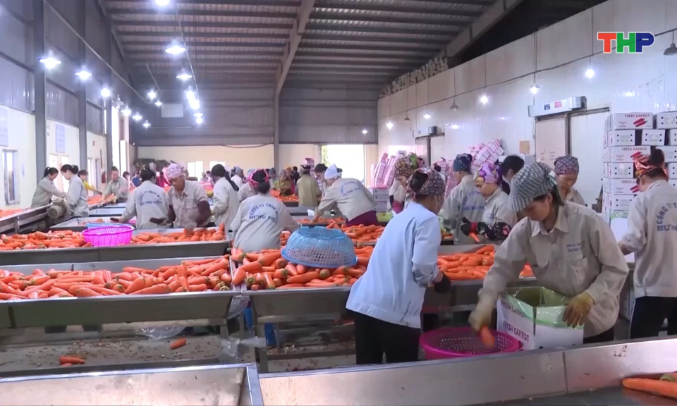 Sản xuất n&ocirc;ng nghiệp theo chuỗi gi&aacute; trị: Hướng đi bền vững