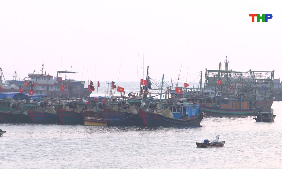 Tăng cường c&aacute;c giải ph&aacute;p chống khai th&aacute;c IUU