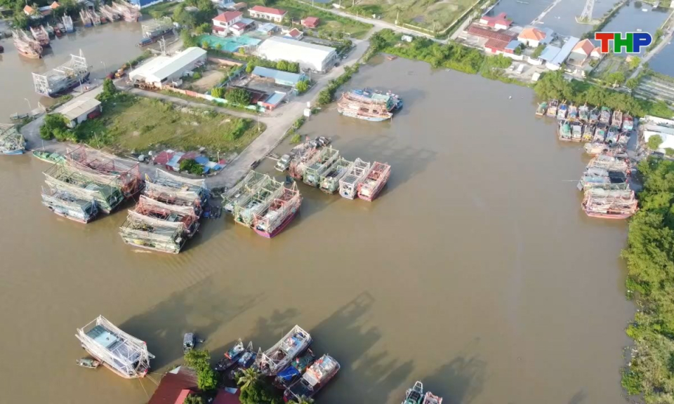 Bản tin tiếng Anh - Hai Phong News (14/10/2025)