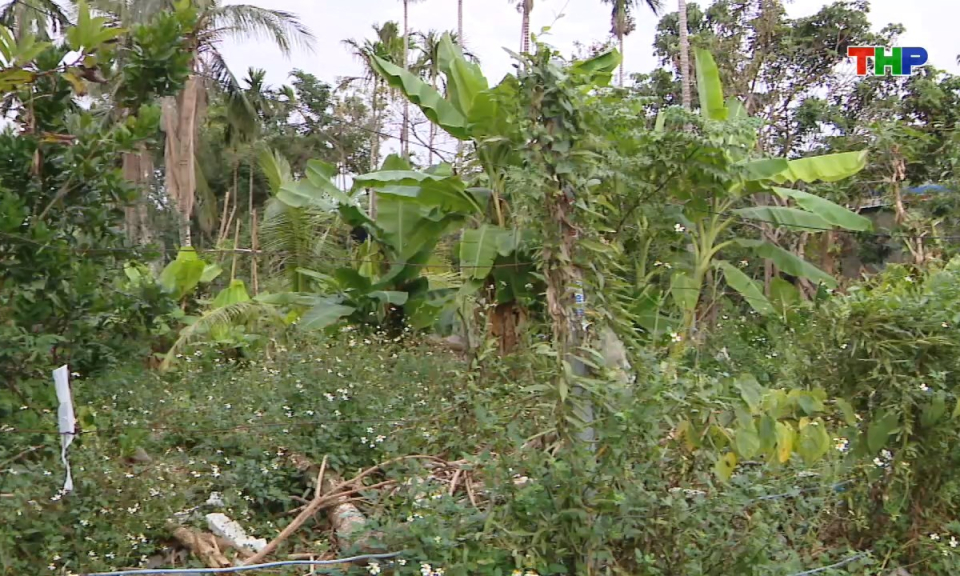 Ph&aacute;p luật v&agrave; cuộc sống: Chủ động giải quyết vấn đề "n&oacute;ng" ph&aacute;t sinh từ cơ sở