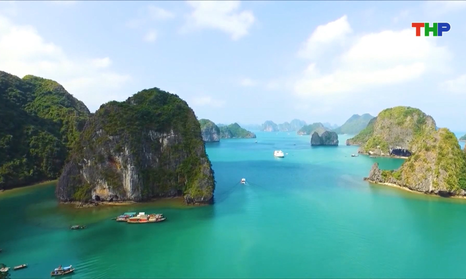 Quản l&yacute;, bảo tồn v&agrave; ph&aacute;t triển bền vững C&aacute;t B&agrave;