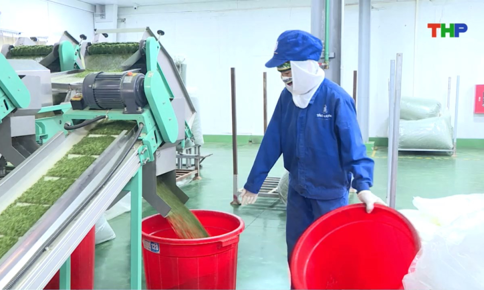 Bản tin thời sự s&aacute;ng (17/10/2025)