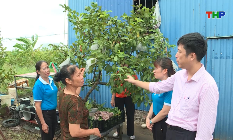 Kinh tế và đô thị: Tín dụng chính sách đồng hành cùng phát triển bền vững