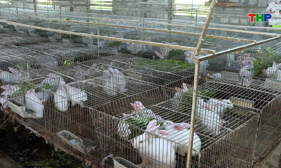 Nh&acirc;n rộng c&aacute;c m&ocirc; h&igrave;nh sản xuất n&ocirc;ng nghiệp bền vững 