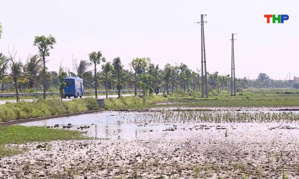 Bảo đảm tiến độ dự án khu công nghiệp Vinh Quang 