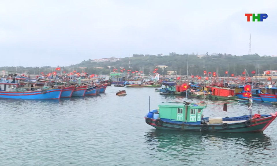 Bản tin tiếng Anh - Hai Phong News (23/10/2025)