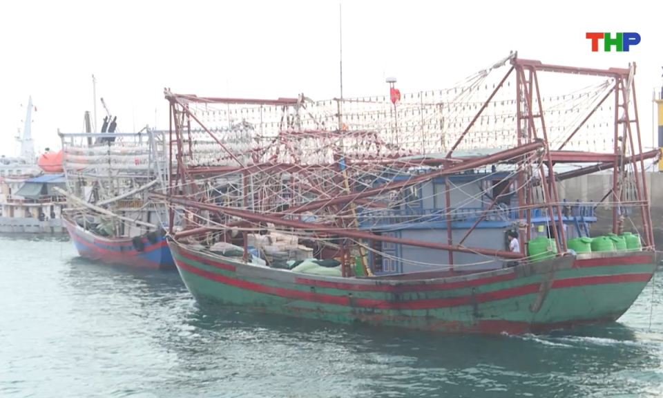 Bản tin tiếng Trung - 海防新闻 (23/10/2025)