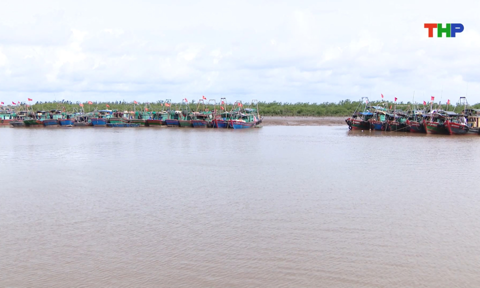 Ki&ecirc;n quyết, khẩn trương xử l&yacute; c&aacute;c trường hợp vi phạm khai th&aacute;c IUU