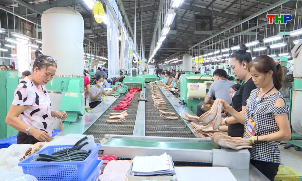 Bản tin tiếng Anh - Hai Phong News (24/10/2025)