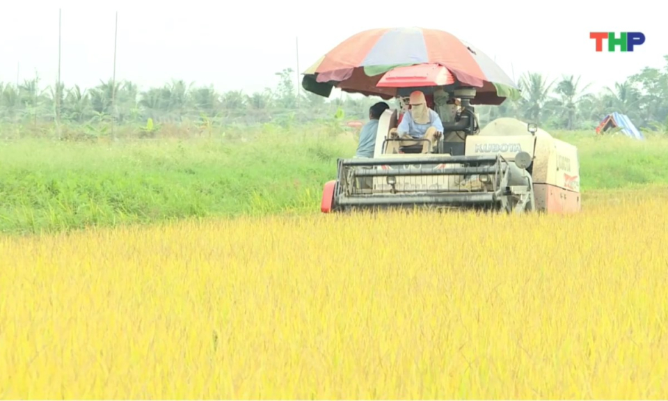Bản tin thời sự tối (24/10/2025)