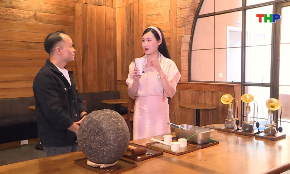 Đến Hải Phòng, đi lòng vòng: Trà Shan Tuyết Hải Phòng