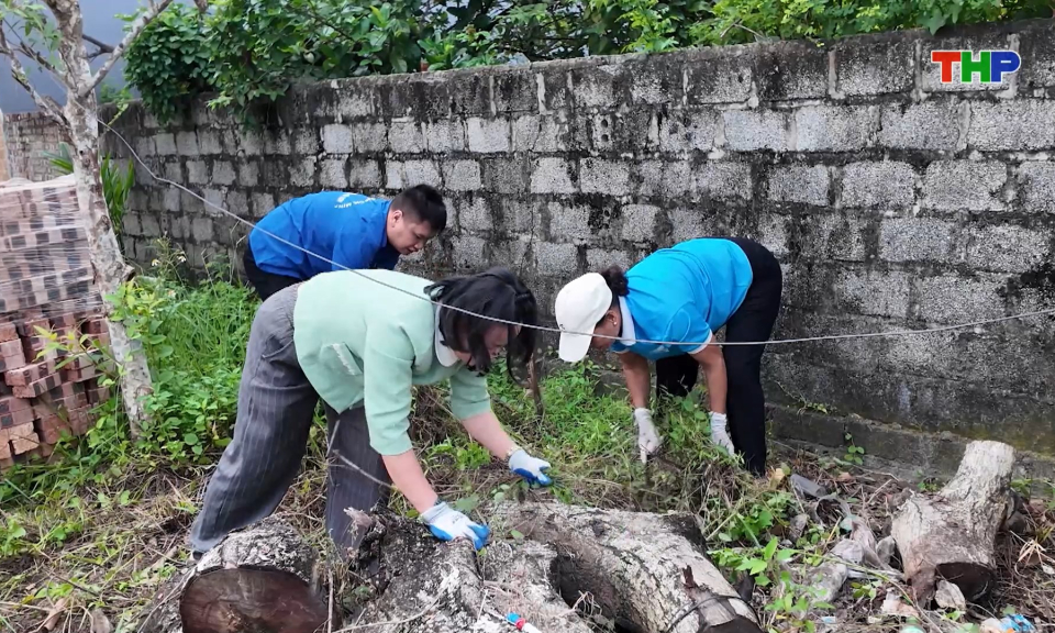 Tuổi trẻ th&agrave;nh phố chung tay bảo vệ m&ocirc;i trường