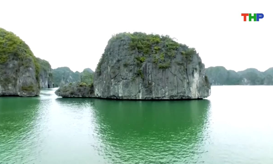 Bản tin tiếng Anh - Hai Phong News (28/10/2025)