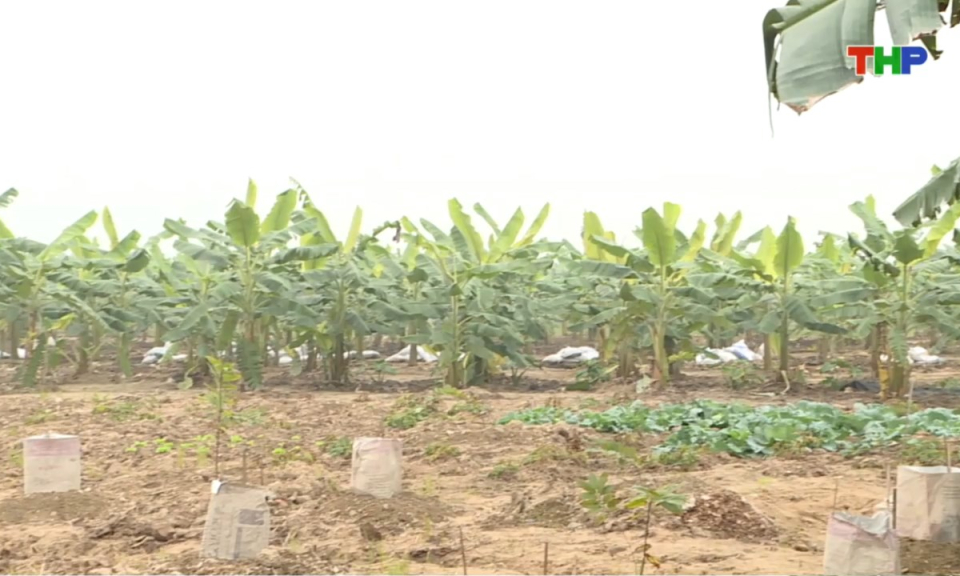 Bản tin thời sự sáng (29/10/2025)