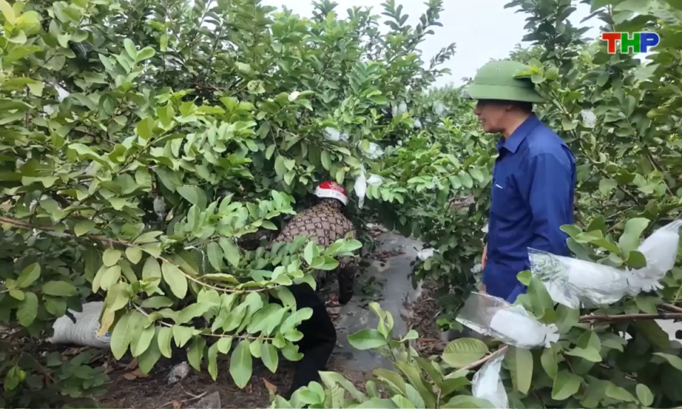 10 phút vàng (29/10/2025)