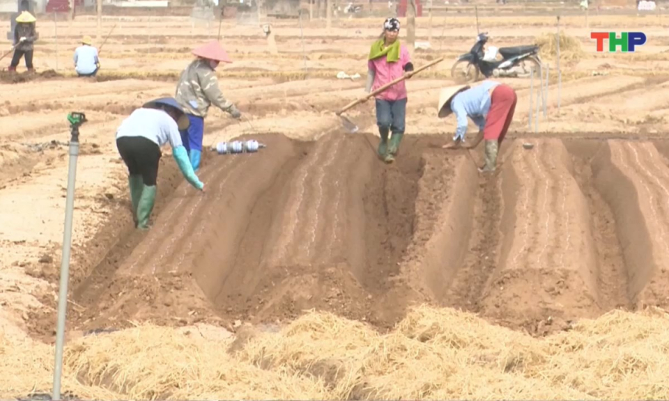 Bản tin thời sự tối (29/10/2025)