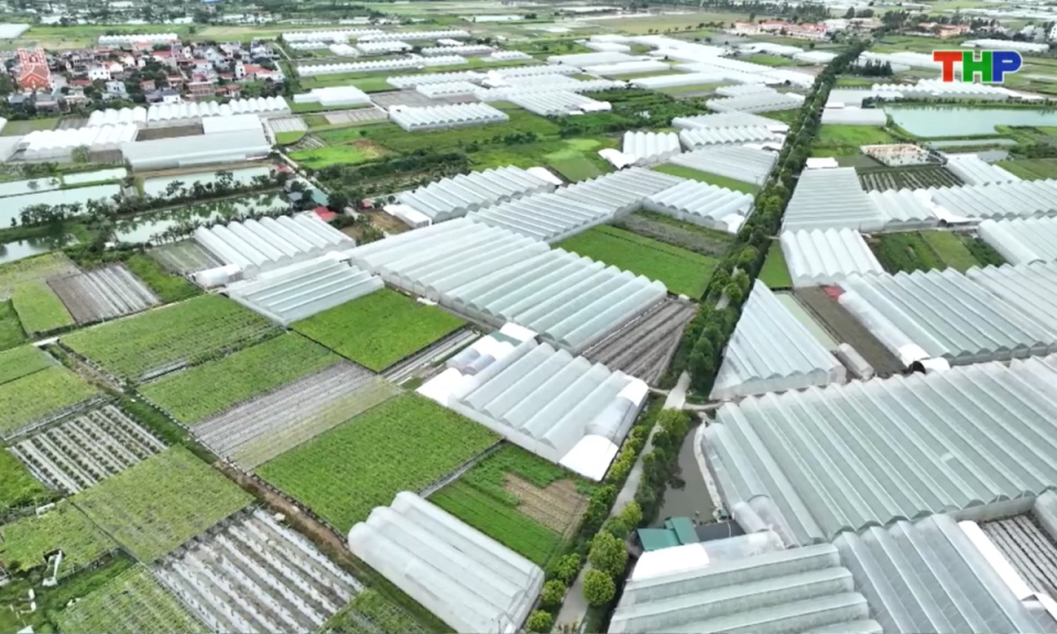 Bản tin thời sự trưa (31/10/2025)