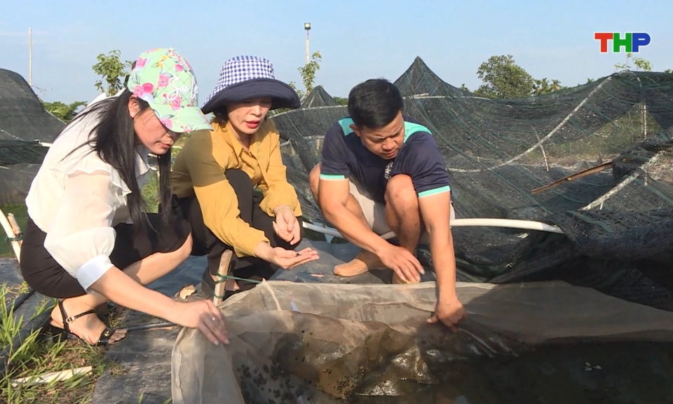 Hỗ trợ phụ nữ tham gia ph&aacute;t triển kinh tế