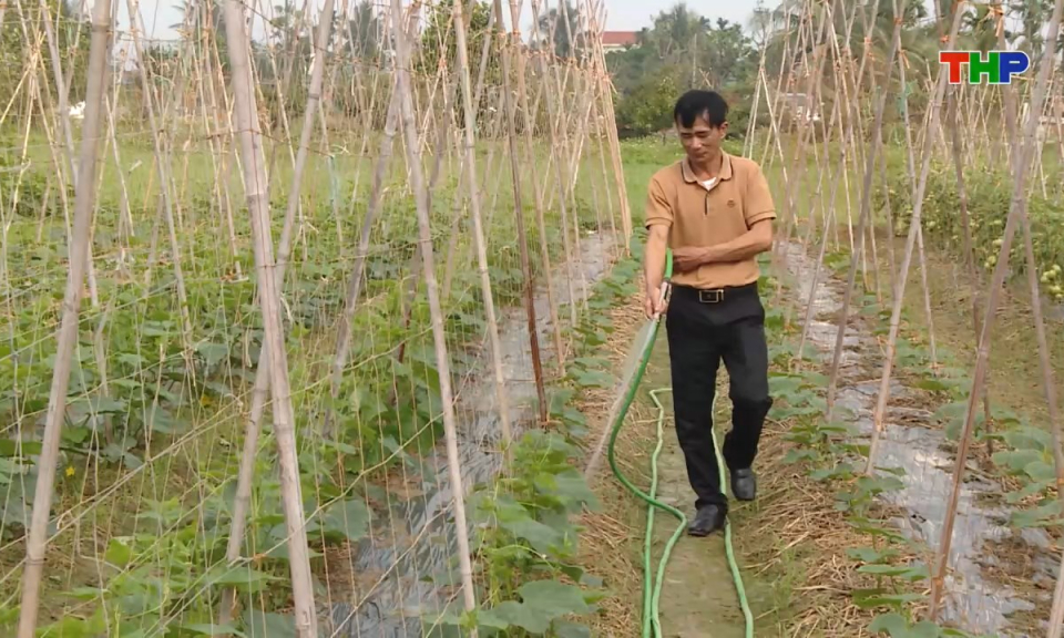 Bản tin tiếng Anh - Hai Phong News (31/10/2025)