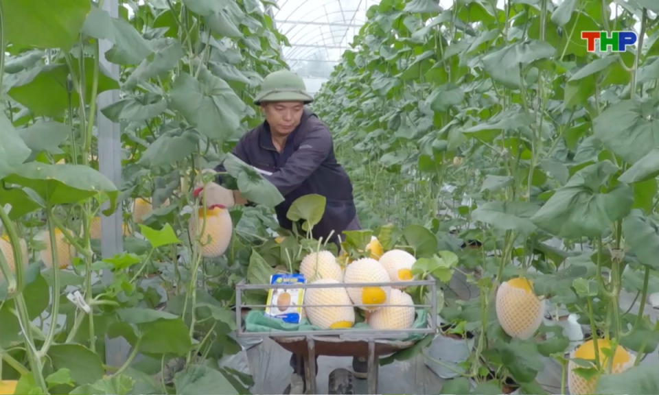 Bản tin thời sự s&aacute;ng (02/11/2025)