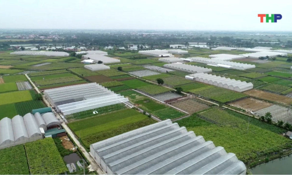 Bản tin thời sự tối (01/11/2025)