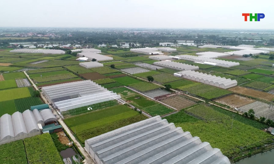 Ph&aacute;t triển n&ocirc;ng nghiệp theo hướng h&agrave;ng ho&aacute; tập trung, quy m&ocirc; lớn