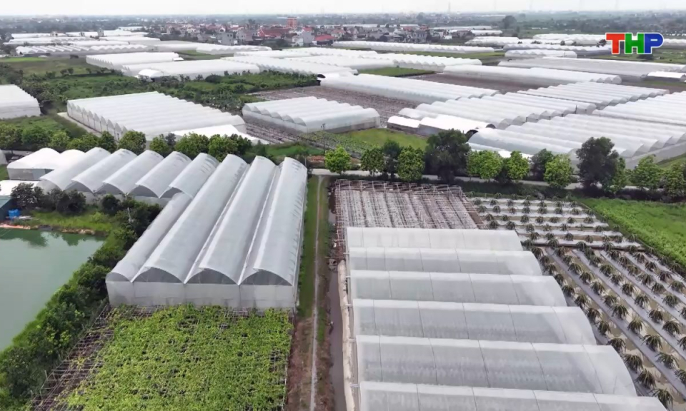 10 ph&uacute;t v&agrave;ng (02/11/2025)