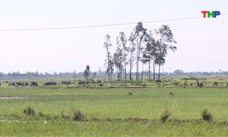 Bản tin thời sự s&aacute;ng (04/11/2025)