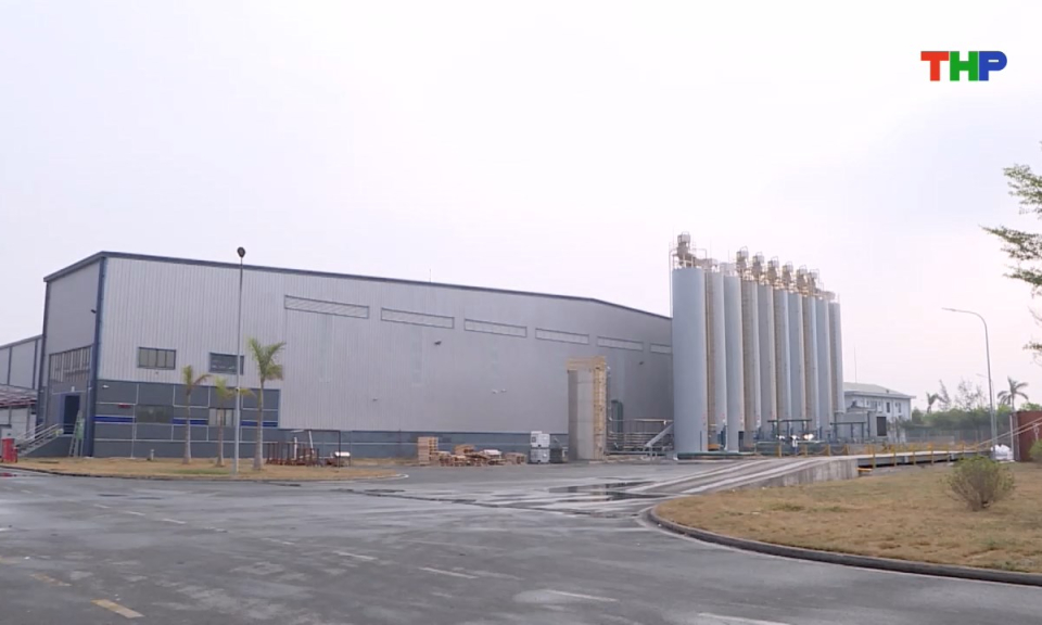 Bản tin tiếng Anh - Hai Phong News (03/11/2025)